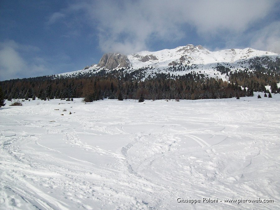 15 Stupenda discesa in neve polverosa.jpg